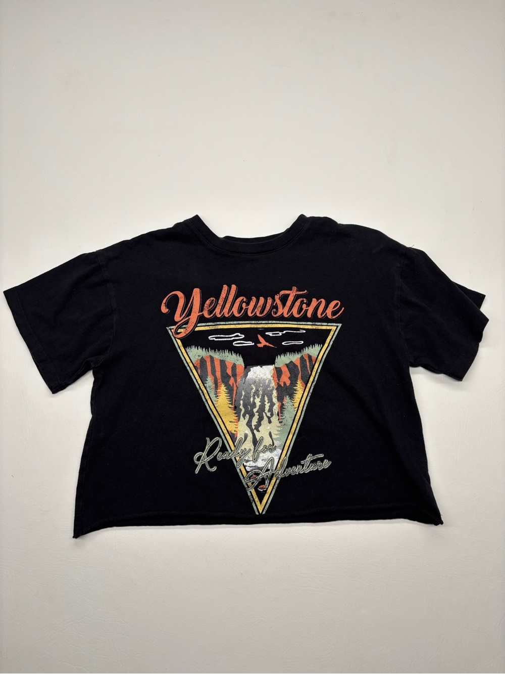 Awake Black Crop Tee with Yellowstone Triangle Graphic